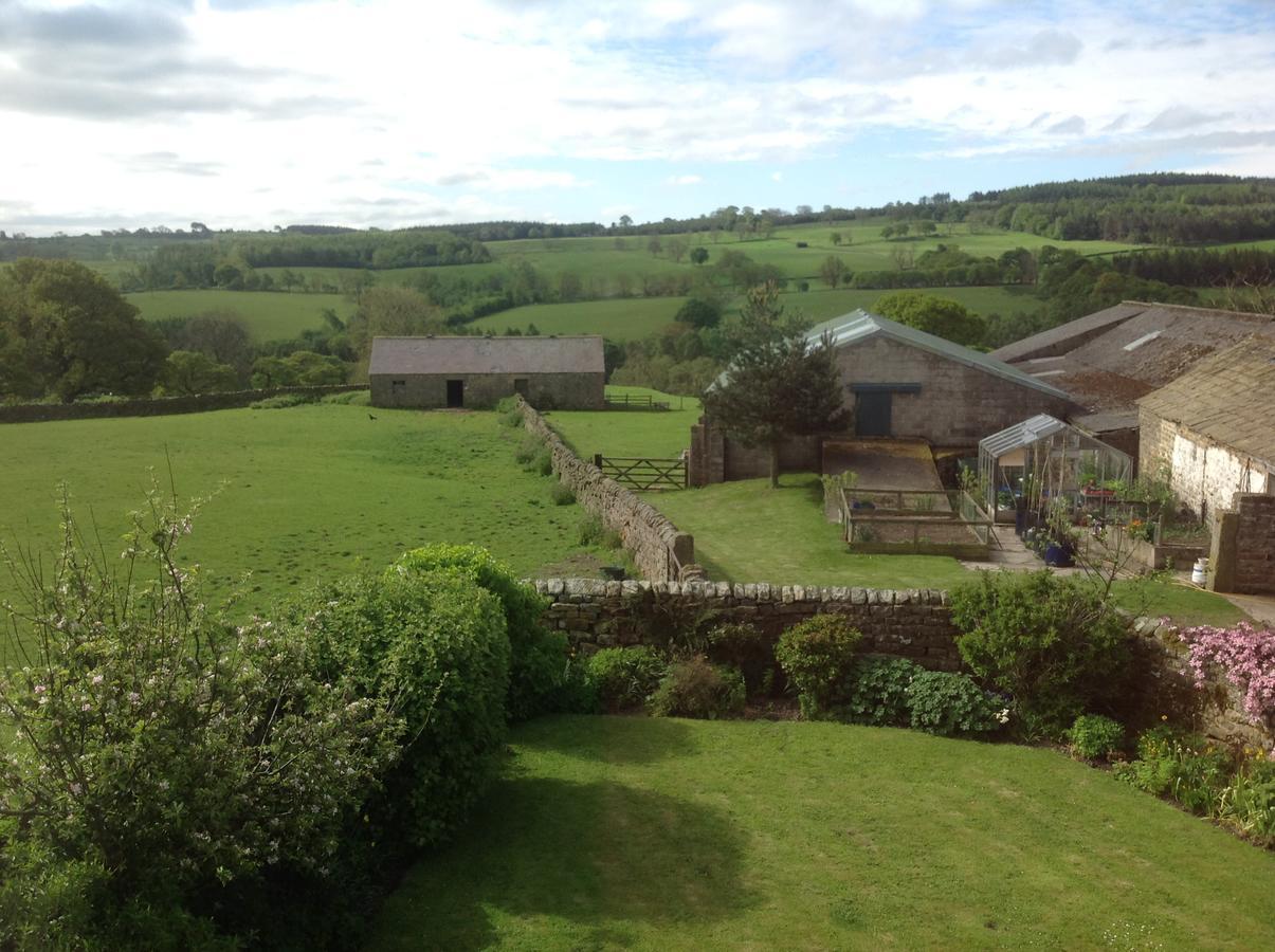 Firs Farm B&B Masham Exteriör bild